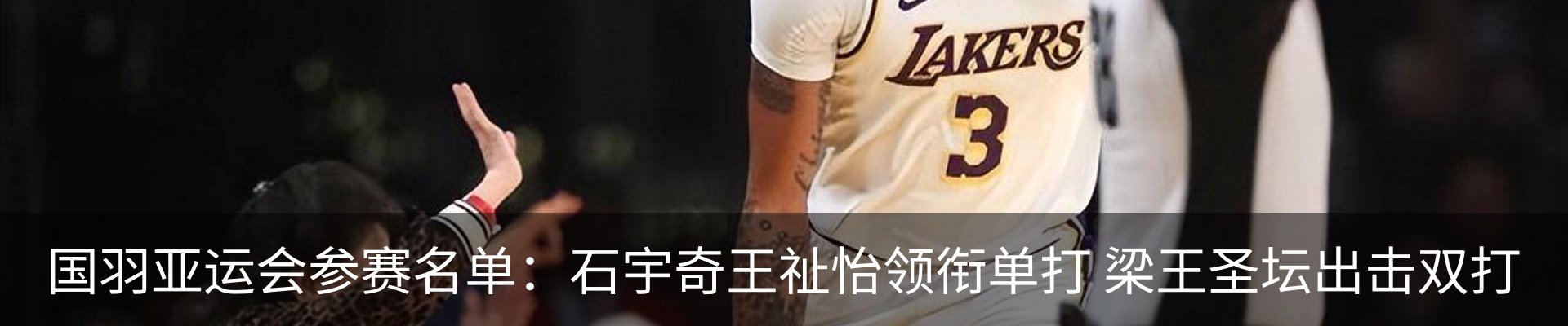 最新动态